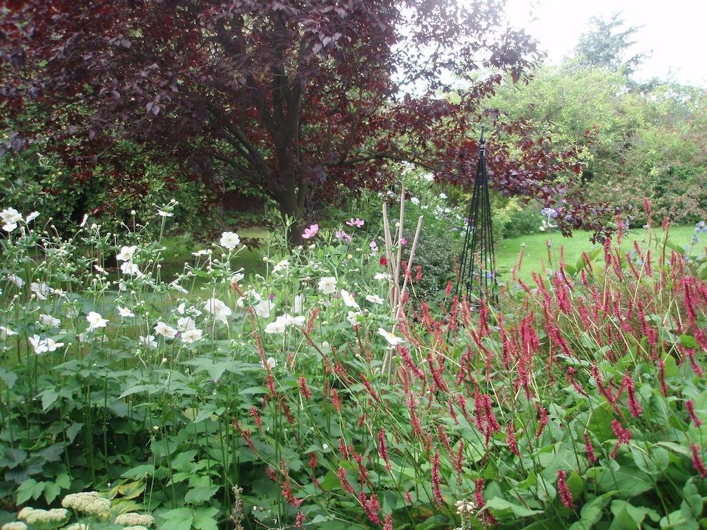 Bed and Breakfast White House Farm Hindolveston Экстерьер фото