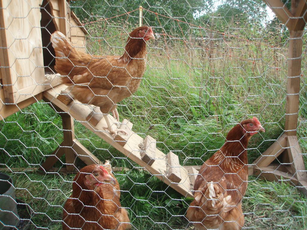 Bed and Breakfast White House Farm Hindolveston Экстерьер фото